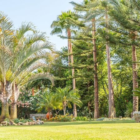 The Grand Oasis Estepona 마르베야 외부 사진